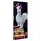 Stupell Industries Fancy Vintage Chicken with Books Canvas Design by Heather Gauthier